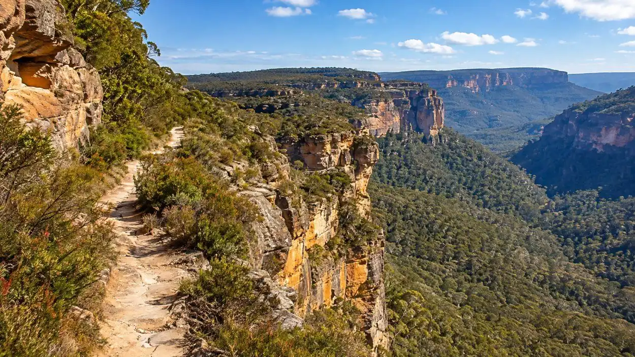 Un estrecho sendero que recorre el borde de acantilados de arenisca sobre un valle boscoso